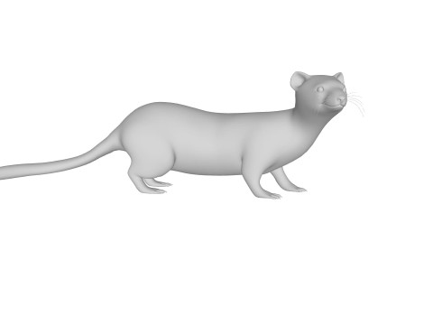 Weasel Animal Figure Ready to Print Modelo 3D