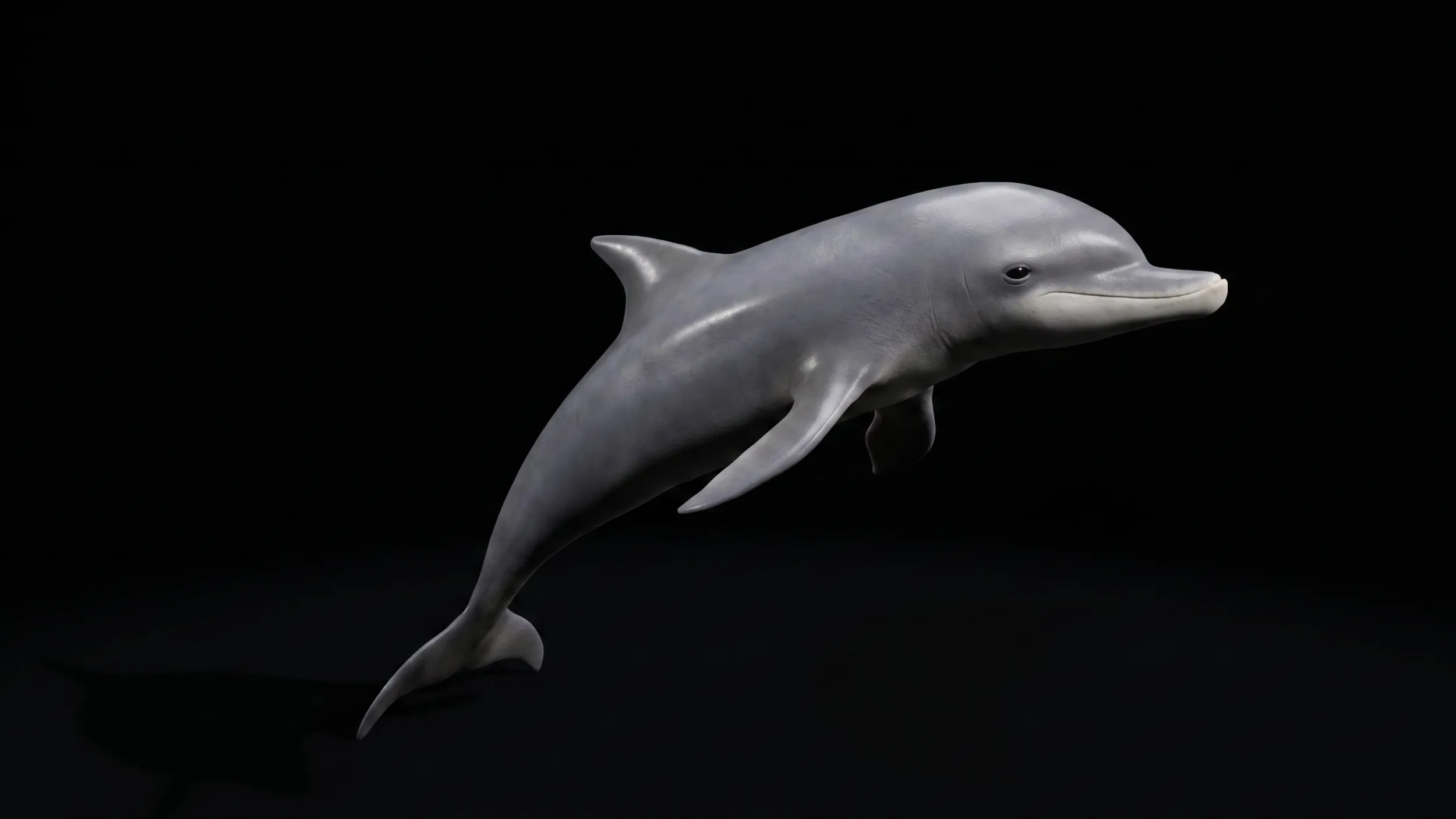 Dolphin Jumping Figure 3D Printable Model 3D Model .c4d .max .obj .3ds .fbx .stl .blend 