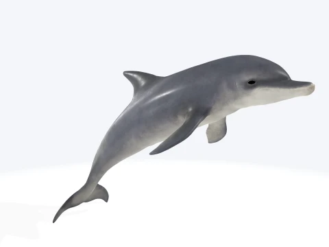 Dolphin Jumping Figure 3D Printable Model 3D Model