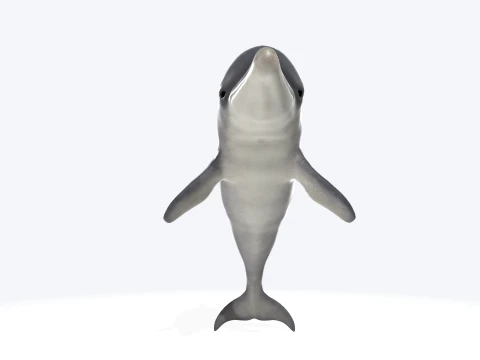 Dolphin Jumping Figure 3D Printable Model 3D Model