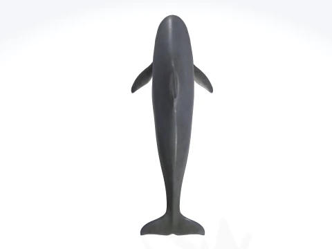 Dolphin Jumping Figure 3D Printable Model 3D Model