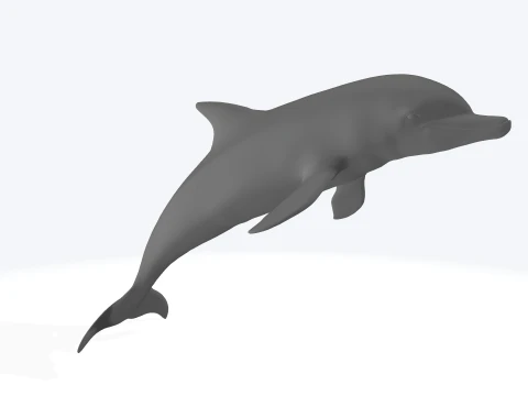 Dolphin Jumping Figure 3D Printable Model 3D Model