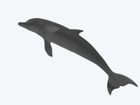 Dolphin Jumping Figure 3D Printable Model 3D Model