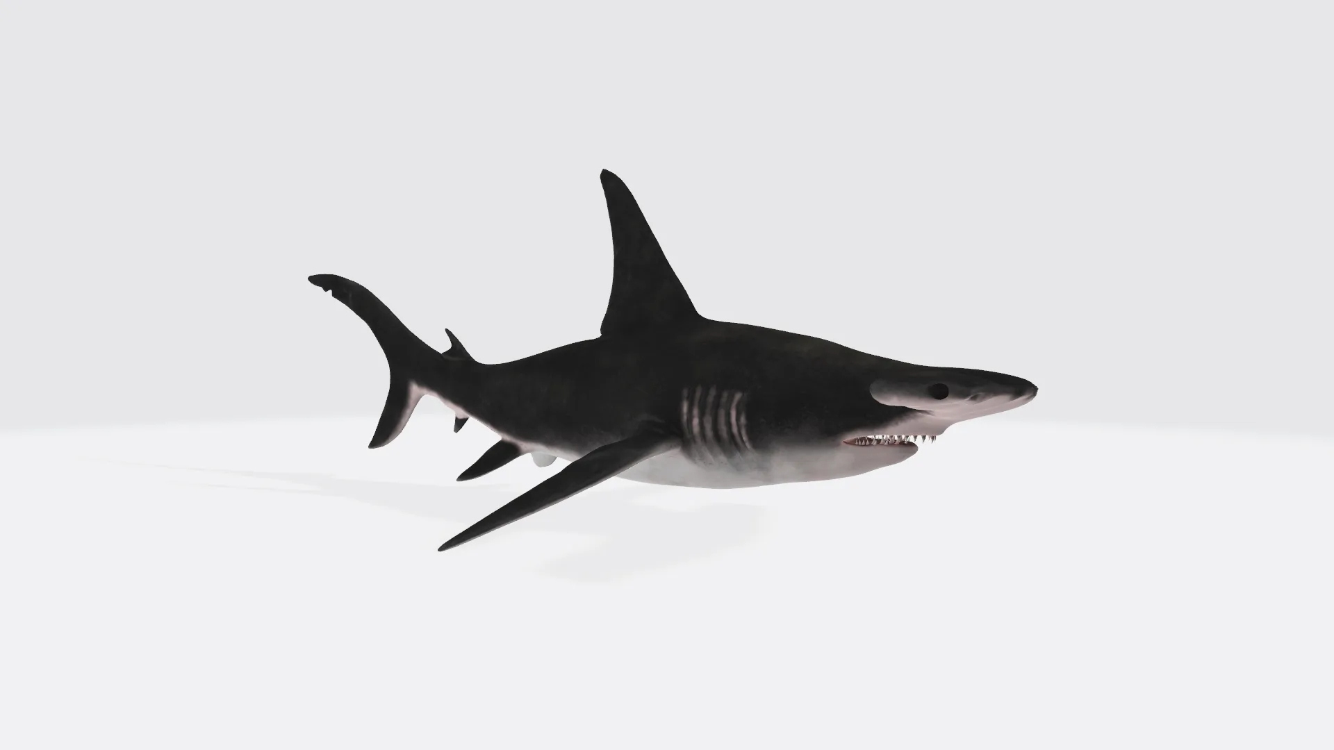 Hammerhead Shark Figure 3D Printable Model 3D Model .c4d .max .obj .3ds .fbx .stl .blend 