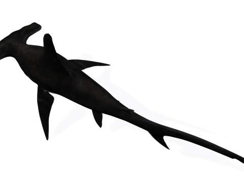 Hammerhead Shark Figure 3D Printable Model 3D Model