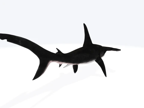 Hammerhead Shark Figure 3D Printable Model 3D Model