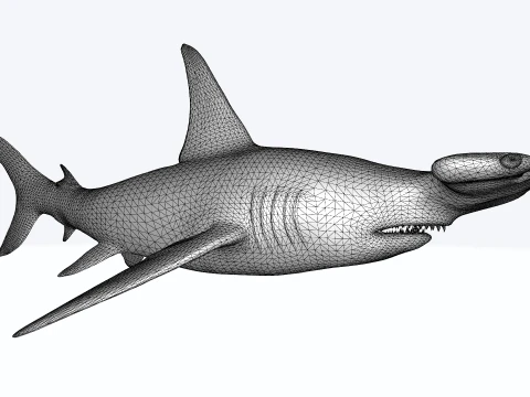 Hammerhead Shark Figure 3D Printable Model 3D Model