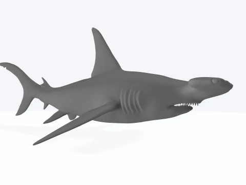 Hammerhead Shark Figure 3D Printable Model 3D Model