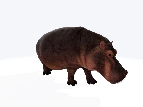 Hippopotamus Figure 3D Printable Model 3D Druckmodell