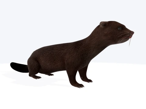 American Mink Figure 3D Printable Model 3D Baskı Modeli