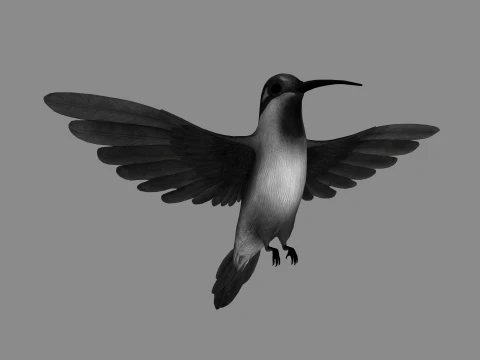 Flying Hummingbird Figure 3D Printable Model Modelo de impresión 3D
