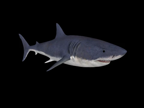 White Shark Figure 3D Printable Model Modelo de impresión 3D