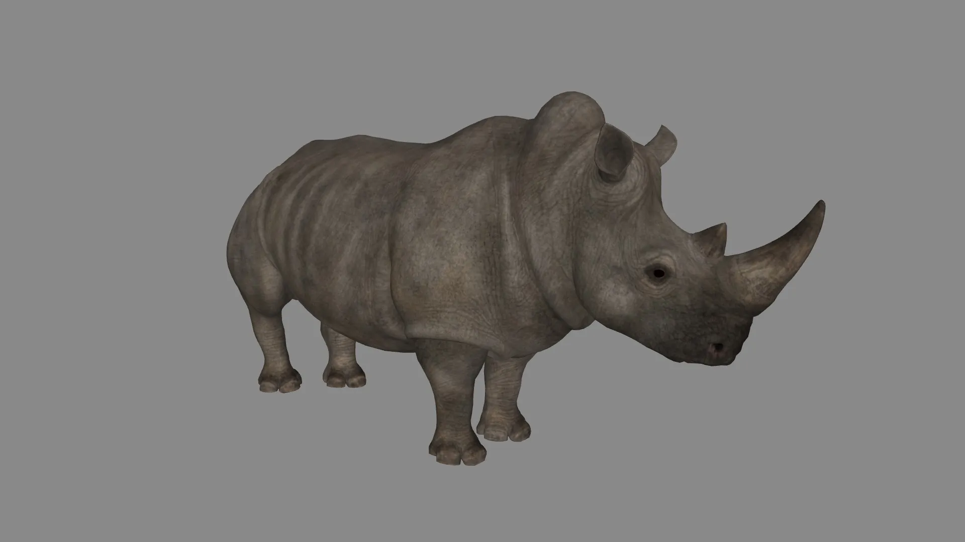 Rhino Sculpture 3D Printable Model 3D Print Model .c4d .max .obj .3ds .fbx .stl .blend 