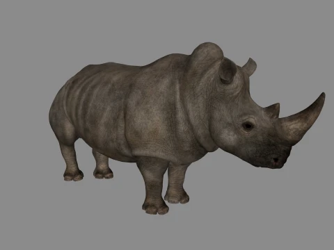 Rhino Sculpture 3D Printable Model 3D Baskı Modeli