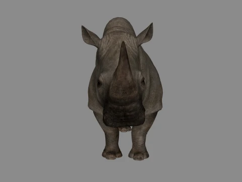 Rhino Sculpture 3D Printable Model 3D Print Model