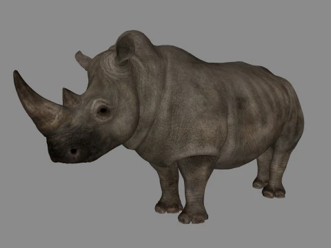 Rhino Sculpture 3D Printable Model 3D Print Model