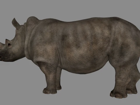 Rhino Sculpture 3D Printable Model 3D Print Model
