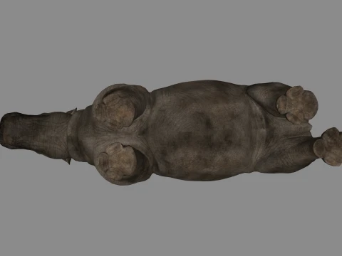 Rhino Sculpture 3D Printable Model 3D Print Model