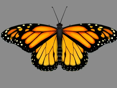 Monarch Butterfly Sculpture 3D Printable Model 3Dプリントモデル