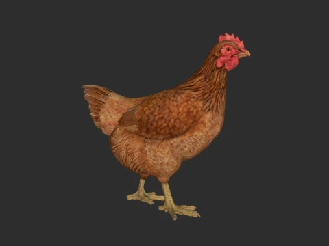 Chicken Hen Sculpture 3D Printable Model 3D Print Model