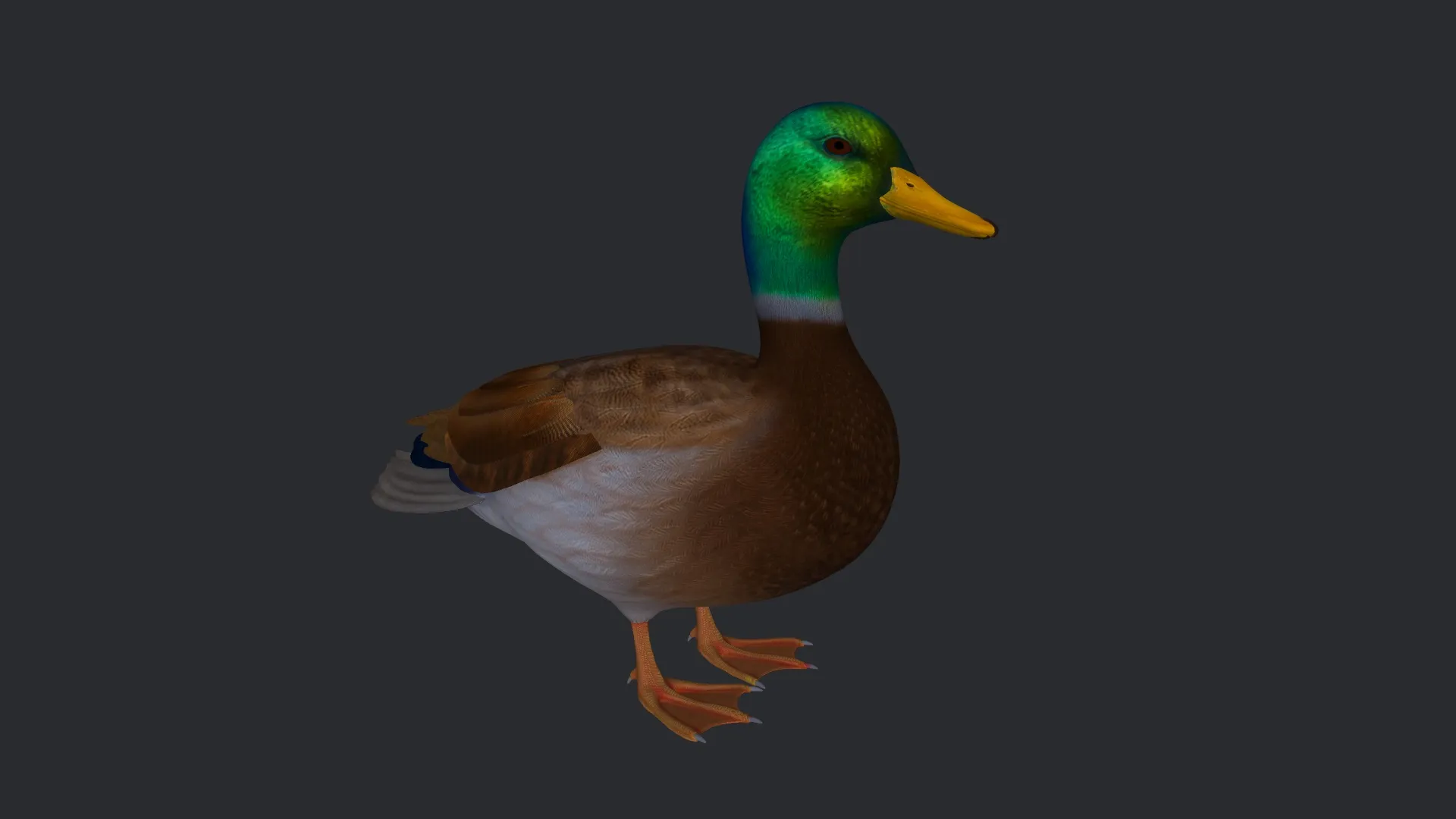 Mallard Duck Sculpture 3D Printable Model 3D Print Model .c4d .max .obj .3ds .fbx .stl .blend 
