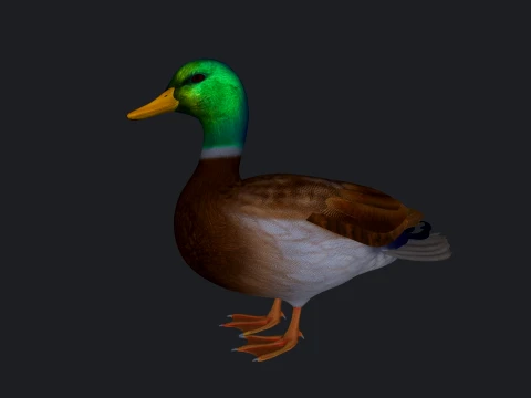 Mallard Duck Sculpture 3D Printable Model 3D Print Model