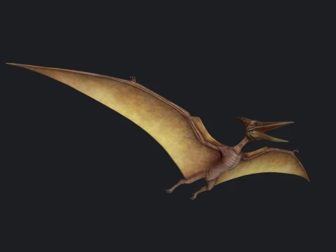 Pterodactyl Dinosaur 3D Print Model 3D Print Model