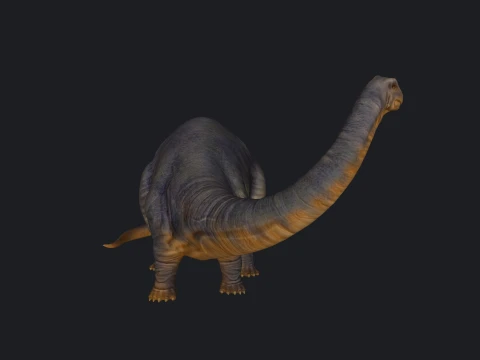 Apatosaurus Dino 3D Print Model 3D Print Model