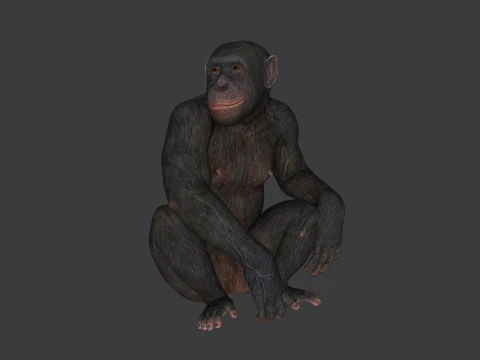 Ape Sculpture 3D Print Model 3D Print Model