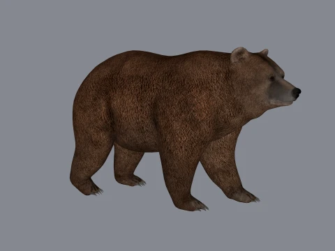 Brown Bear Sculpture 3D Print Model 3D Print Model