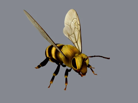 Realistic HoneyBee Sculpture 3D Print Model 3D Print Model