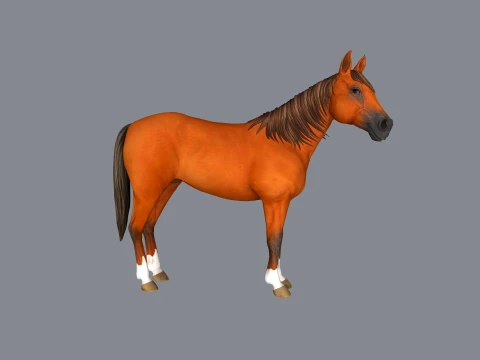 Stallion Horse Sculpture 3D Print Model 3D Print Model