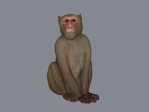 Realistic Monkey Sculpture 3D Print Model 3D Print Model