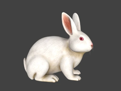 Realistic White Rabbit Sculpture 3D Print Model 3D Print Model