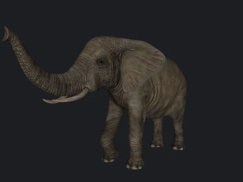 African Elephant Sculpture 3D Print Model 3D Print Model