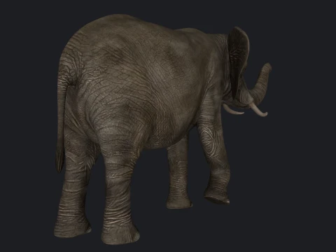 African Elephant Sculpture 3D Print Model 3D Print Model