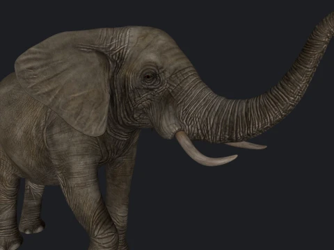 African Elephant Sculpture 3D Print Model 3D Print Model