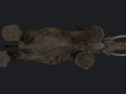African Elephant Sculpture 3D Print Model 3D Print Model