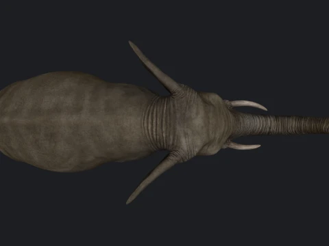 African Elephant Sculpture 3D Print Model 3D Print Model