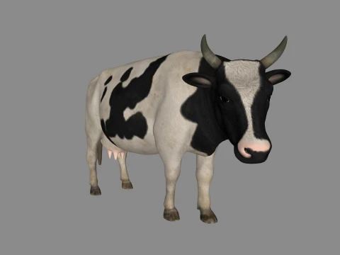 Realistic Black White Cow Sculpture 3D Print Model Modello di stampa 3D