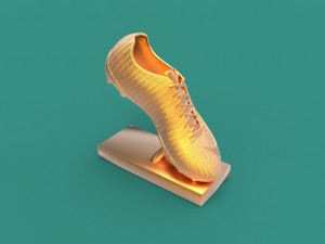 nike shoe trophy 3D 打印模型