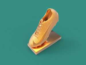 nike shoe trophy 3D-Druckmodell