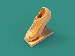 nike shoe trophy 3D Print Model