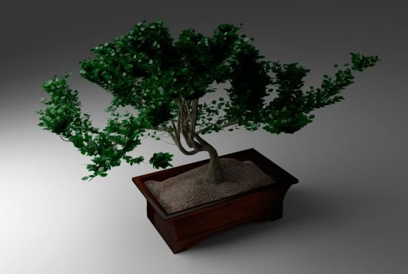 bonsai tree Modelo 3D .c4d .max .obj .3ds .fbx .stl .blend 