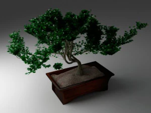 &aacute;rvore bonsai Modelo 3D