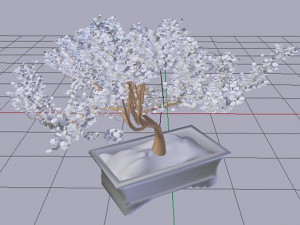 bonsai tree Modelo 3D