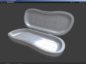 Ray-Ban glasses and case 3D Model