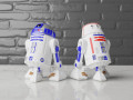 deluxe fully articulated r2-d2 and r5-d4 3D Print Models