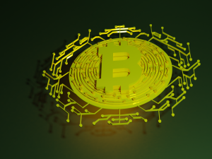 bitcoin model Model 3D
