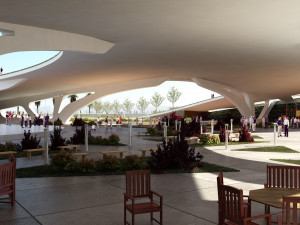Modern contemporary park with 3d grass Model 3D